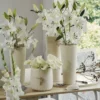 Collection Bulbes Pour Bouquets Modernes Blancs